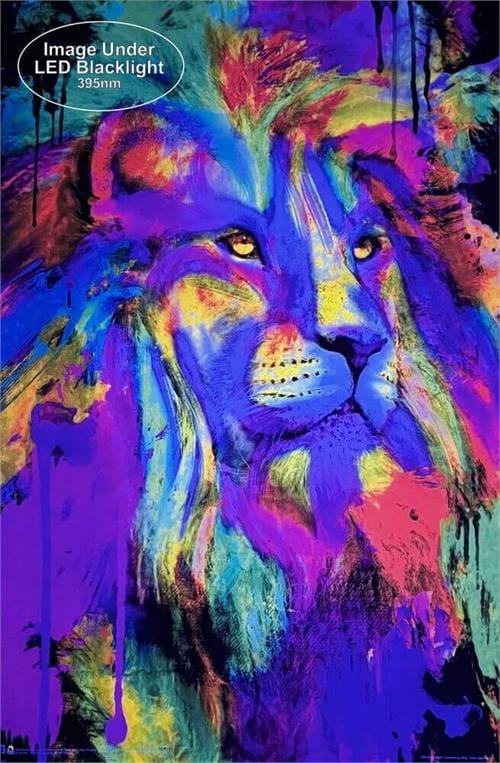 Posters Aimee Stewart - Rainbow King - Lion - Black Light Poster 103409