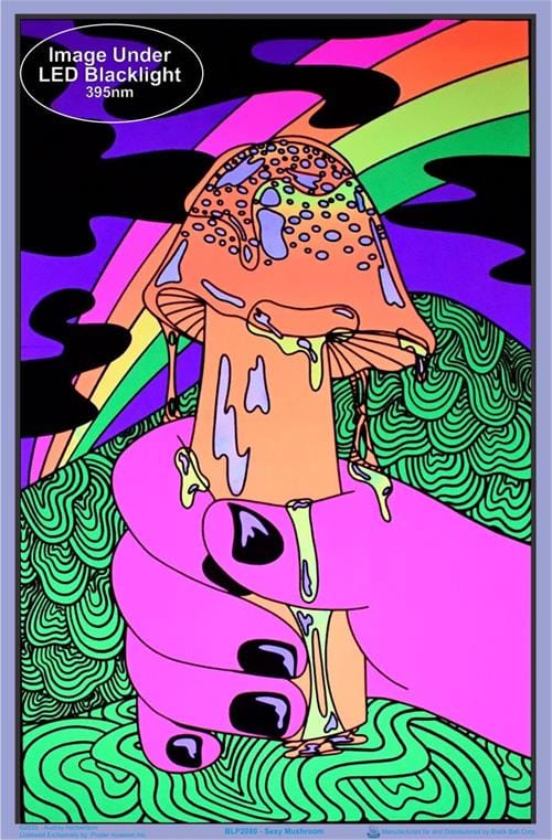 Posters Audrey Herbertson - Mushroom - Black Light Poster 102969