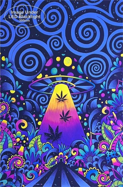 Posters Brizbazaar - Brizland - Black Light Poster 103382