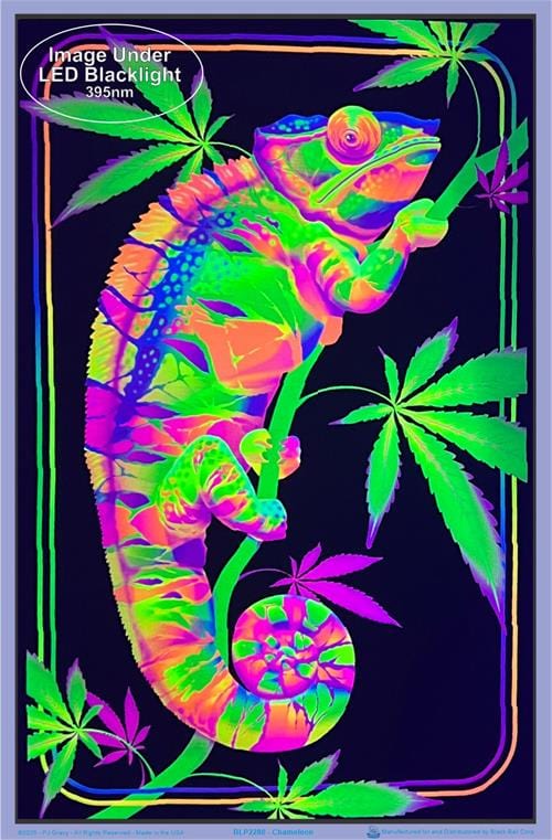Posters Chameleon - Velvet Black Light Poster 103541 TrippyStore
