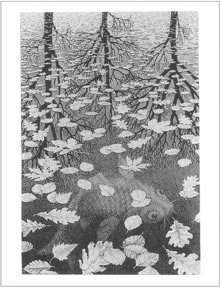 Posters Escher - Three Worlds - Poster 101225