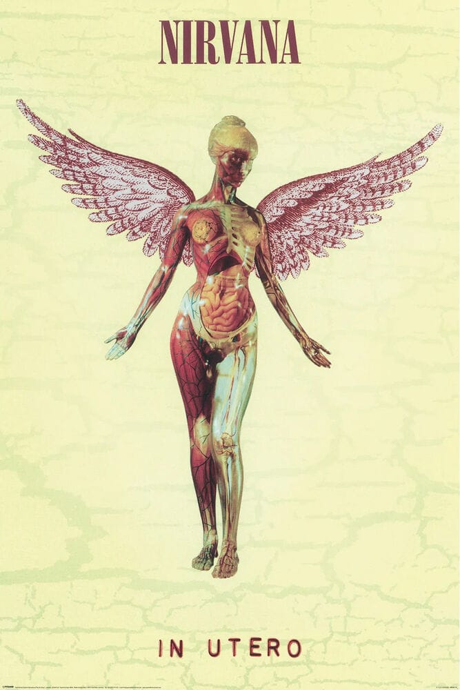 Posters Nirvana - In Utero - Poster 103609 TrippyStore