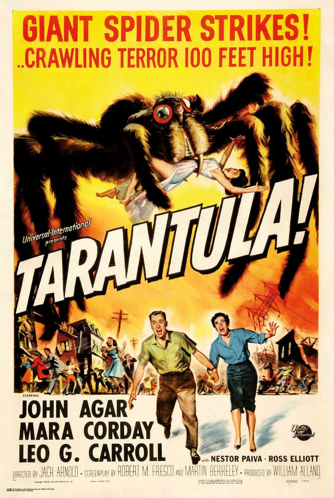 Posters Tarantula - Poster 103572 TrippyStore