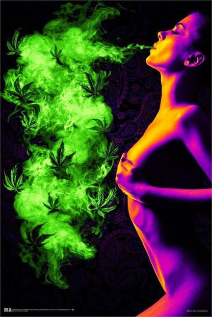 Posters Too Hot to Handle - Black Light Poster 103404