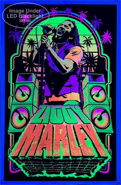 Posters Ziggy Marley - Velvet Black Light Poster 103543 TrippyStore