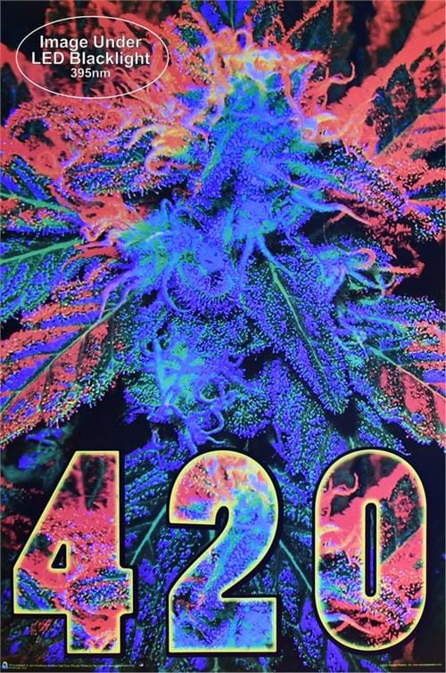 poster 420 Glow - Black Light Poster 103179