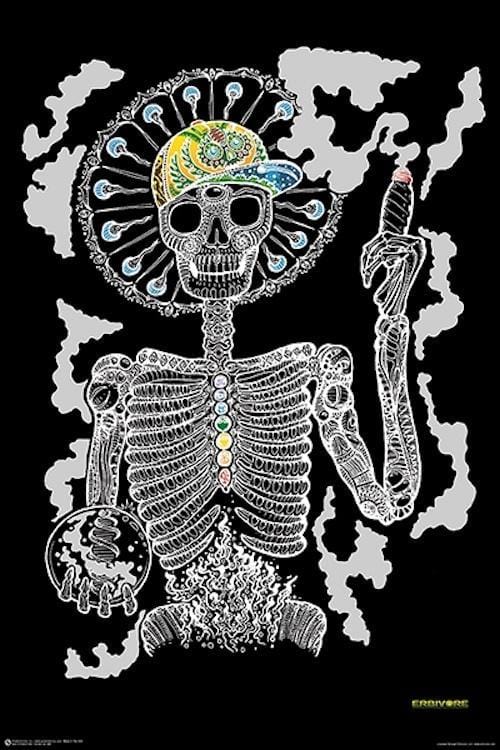 Posters 420 Skeleton - Herbivore - Poster 101387