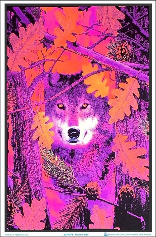 Posters Autumn Wolf - Black Light Poster 007512