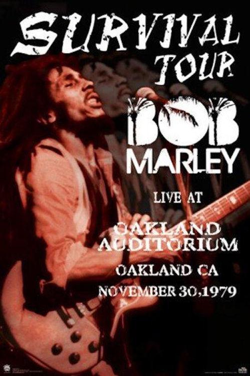 Posters Bob Marley - Survival Tour - Poster 100770
