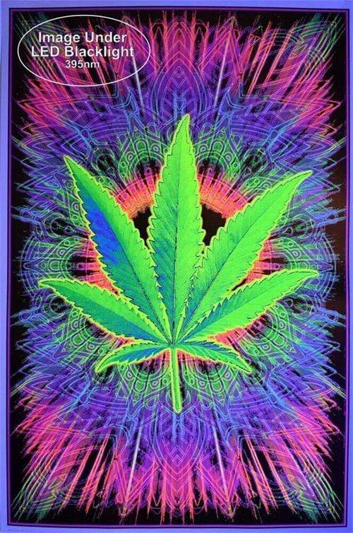Posters Canna Vibes - Black Light Poster 100740