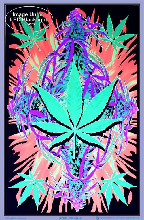 Posters Flaming Leaf - Black Light Poster 100921