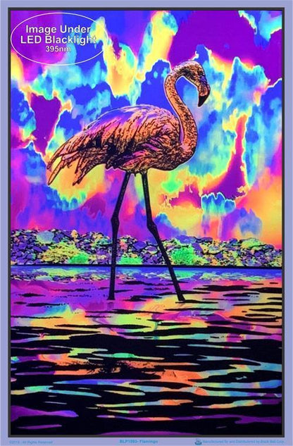 Posters Flamingo - Black Light Poster 009328