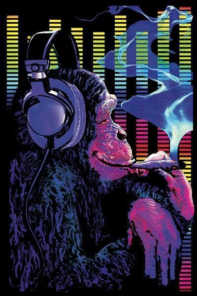 Posters Funky Monkey - Black Light Poster 005742