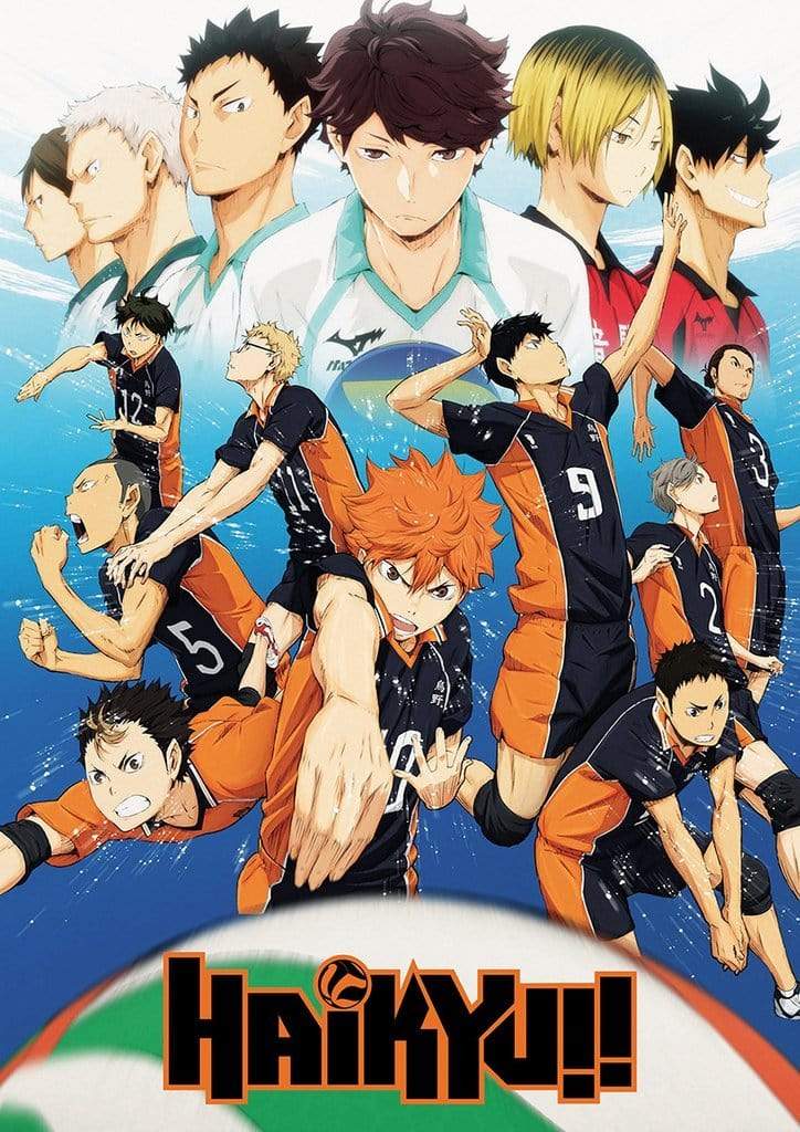 Posters Haikyu! - Team - Poster 102102
