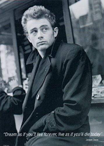 Posters James Dean - Dream - Poster 102059