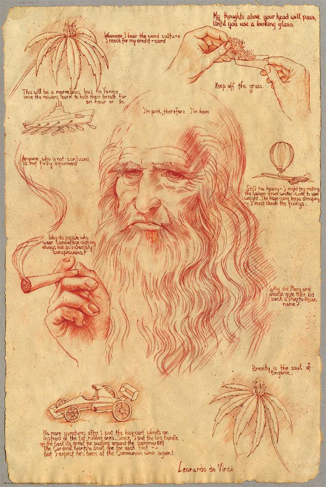 Posters Leonardo DaVinci - Pot - Poster 100729