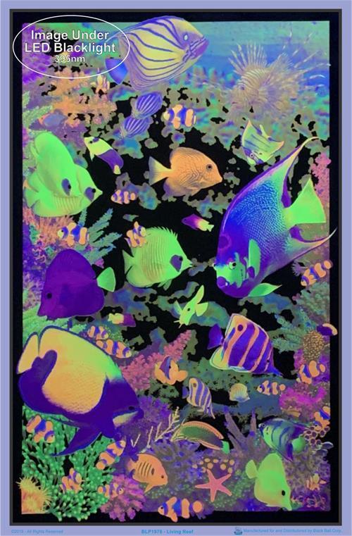 Posters Living Coral Reef - Black Light Poster 001687