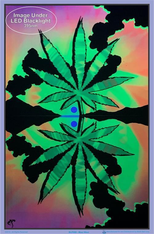 Posters Maui Waui - Black Light Poster 001061