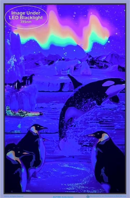 Posters Penguin Arctic Aurora - Black Light Poster 100147