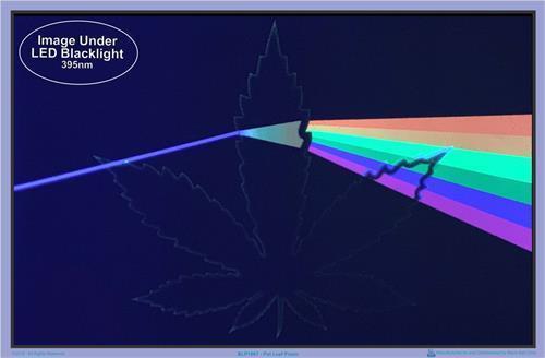Posters Pot Leaf Prism - Black Light Poster 010040