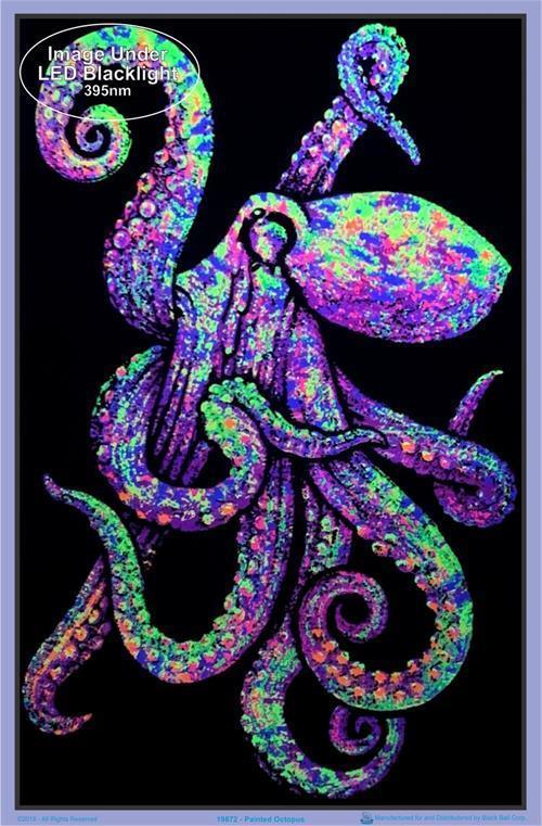 Posters Psychedelic Painted Octopus - Black Light Poster 100076