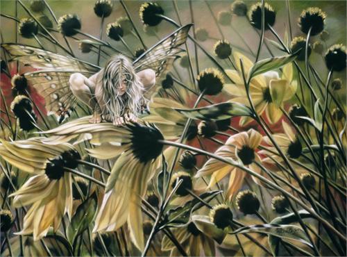 Posters Sheila Wolk - Chameleon Fairy - Poster 101039