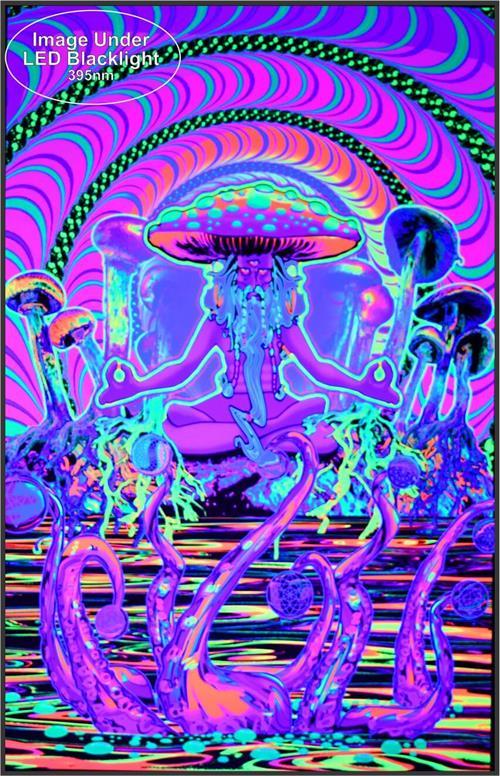 Posters The Shroomer - Black Light Poster 100365