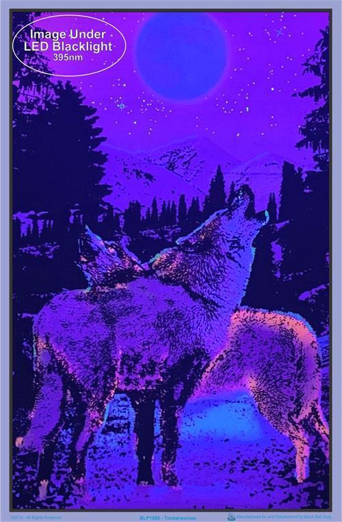 Posters Timberwolves - Black Light Poster 006152