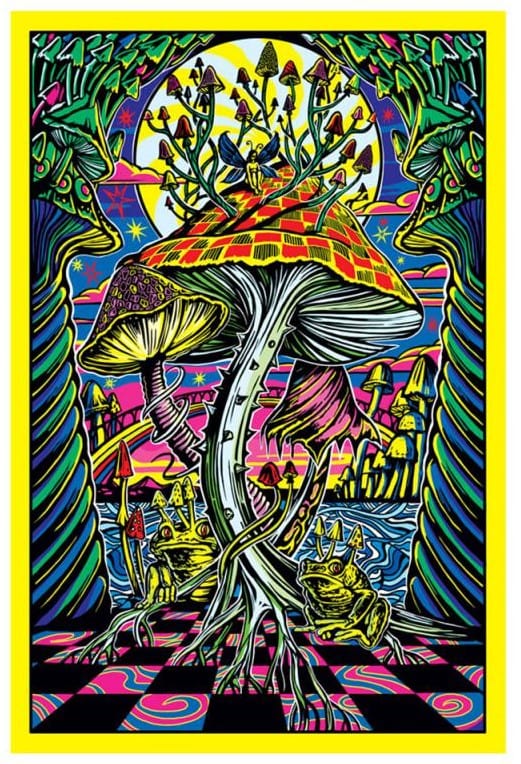 Tapestries 3D - Magic Mushroom - Tapestry 102672