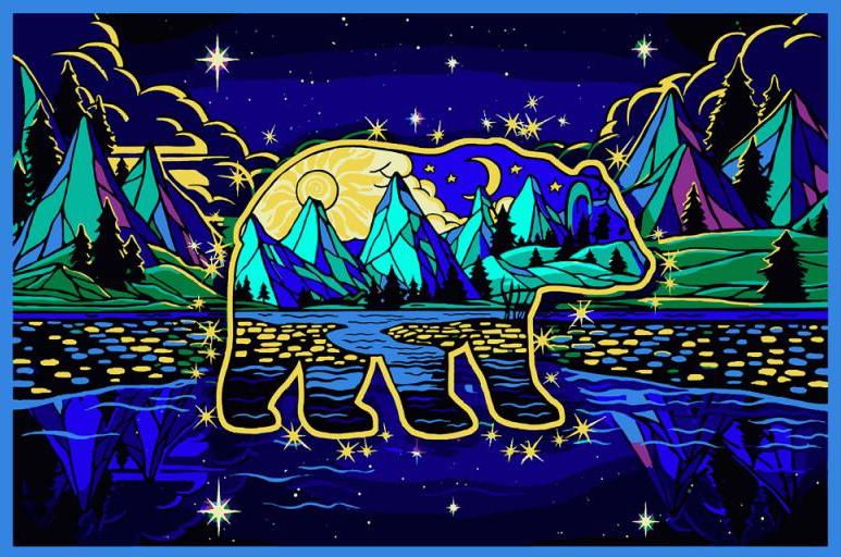 Tapestries 3D - Psychedelic Celestial Bear - Tapestry 101194