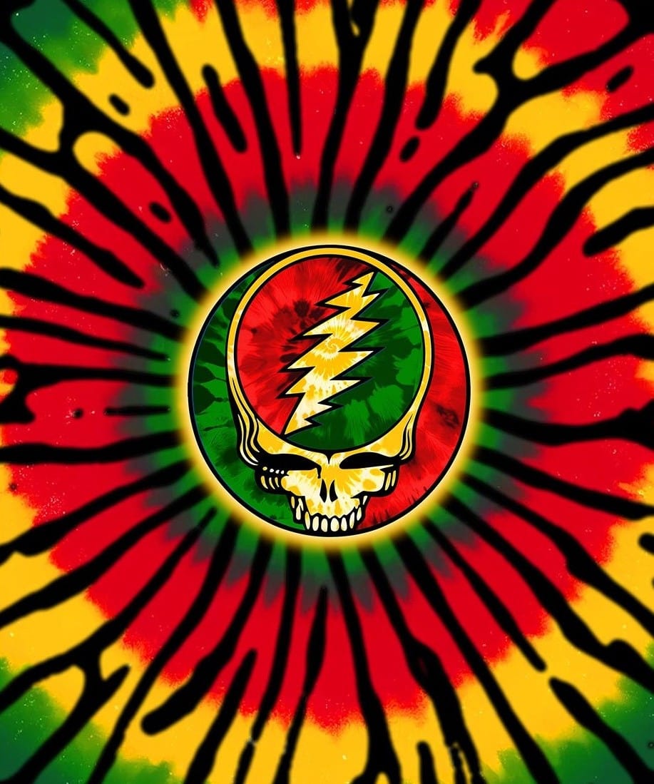 Blankets Grateful Dead - SYF Rasta - Fleece Blanket 103536 TrippyStore