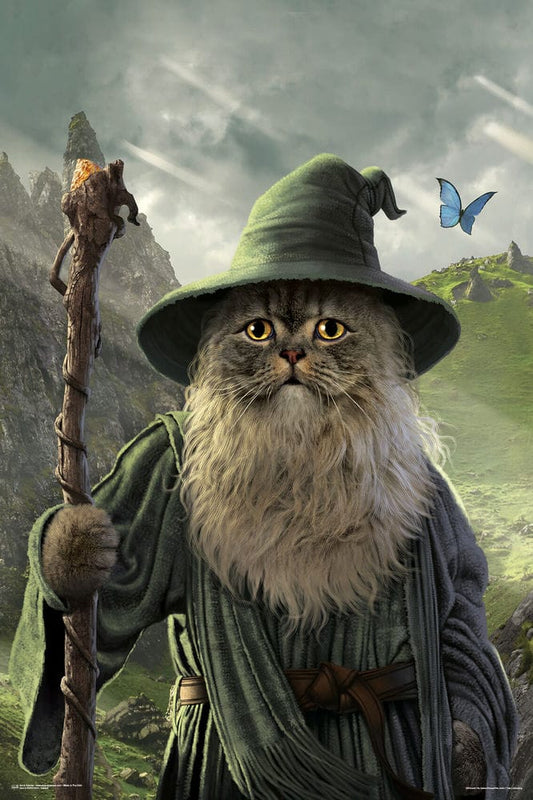 Posters Catdalf - Wizard - Poster 103598 TrippyStore
