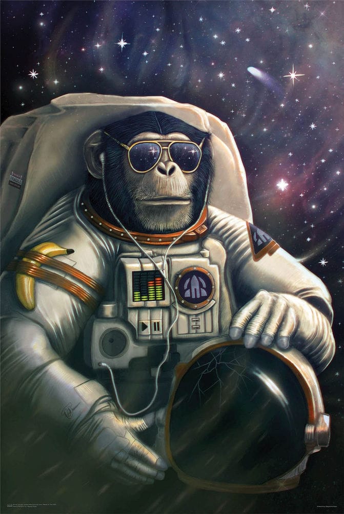 Posters Chimpanzee Space Farer Ham - Poster 103576 TrippyStore