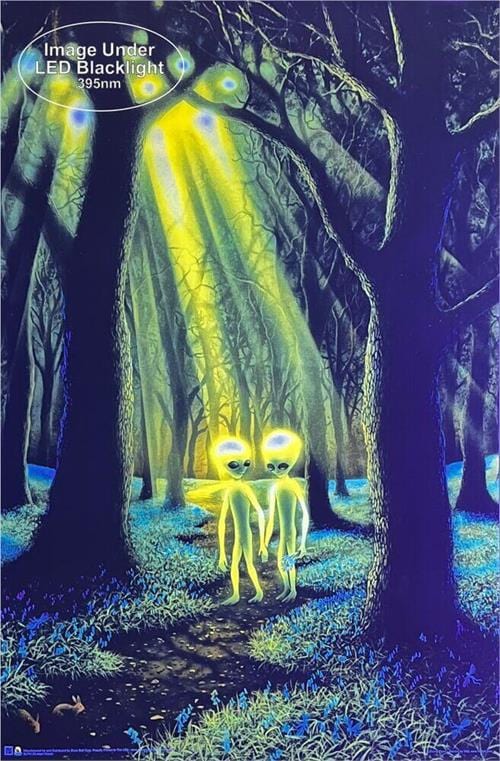 Posters Danny Flynn - Alien Woods - Black Light Poster 103383