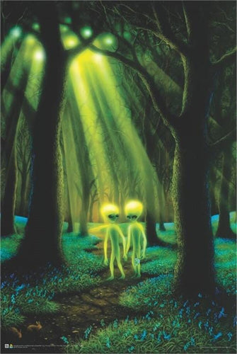 Posters Danny Flynn - Alien Woods - Black Light Poster 103383