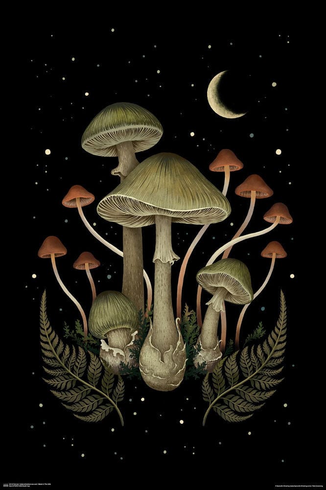Posters Death Cap Mushroom - Poster 103597 TrippyStore
