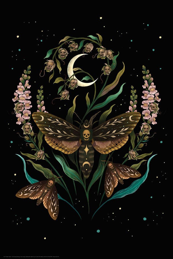 Posters Death's Head - Poster 103595 TrippyStore