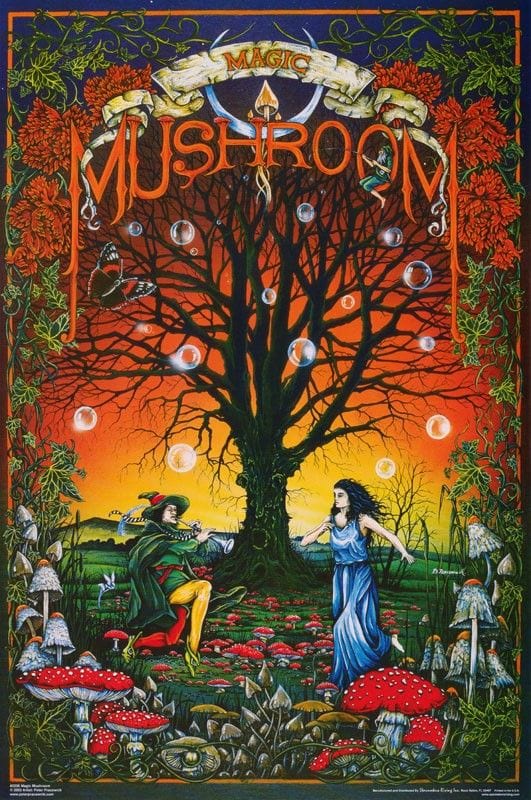 Posters Magic Mushroom Dance - Poster 103466 TrippyStore