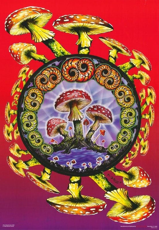 Posters Mike DuBois - Mushroom Spiral - Poster 103468 TrippyStore