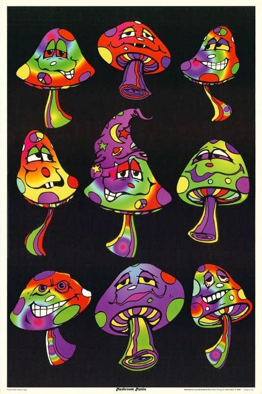 Posters Mushroom Mania - Poster 103469 TrippyStore