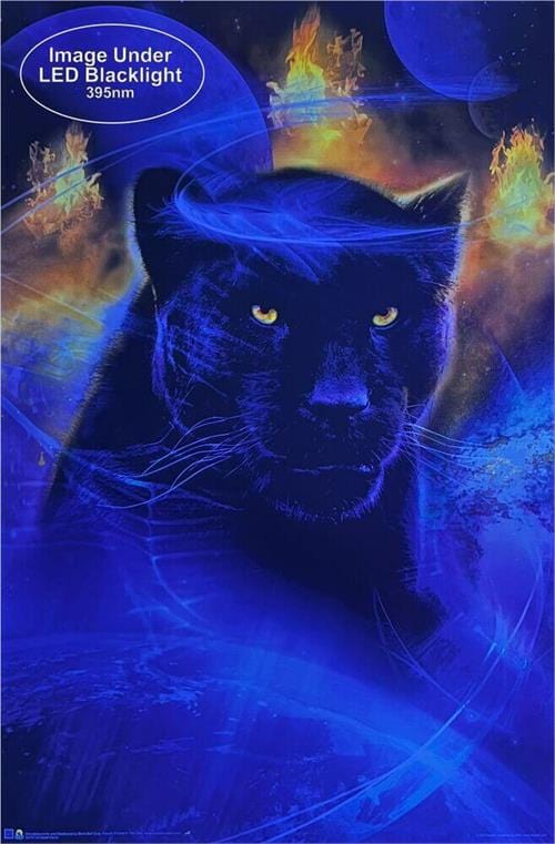 Posters Phil Straub - Great Feline - Black Light Poster 103384