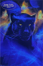 Load image into Gallery viewer, Posters Phil Straub - Great Feline - Black Light Poster 103384

