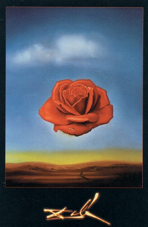 Posters Salvador Dali - Meditative Rose - Poster 101981