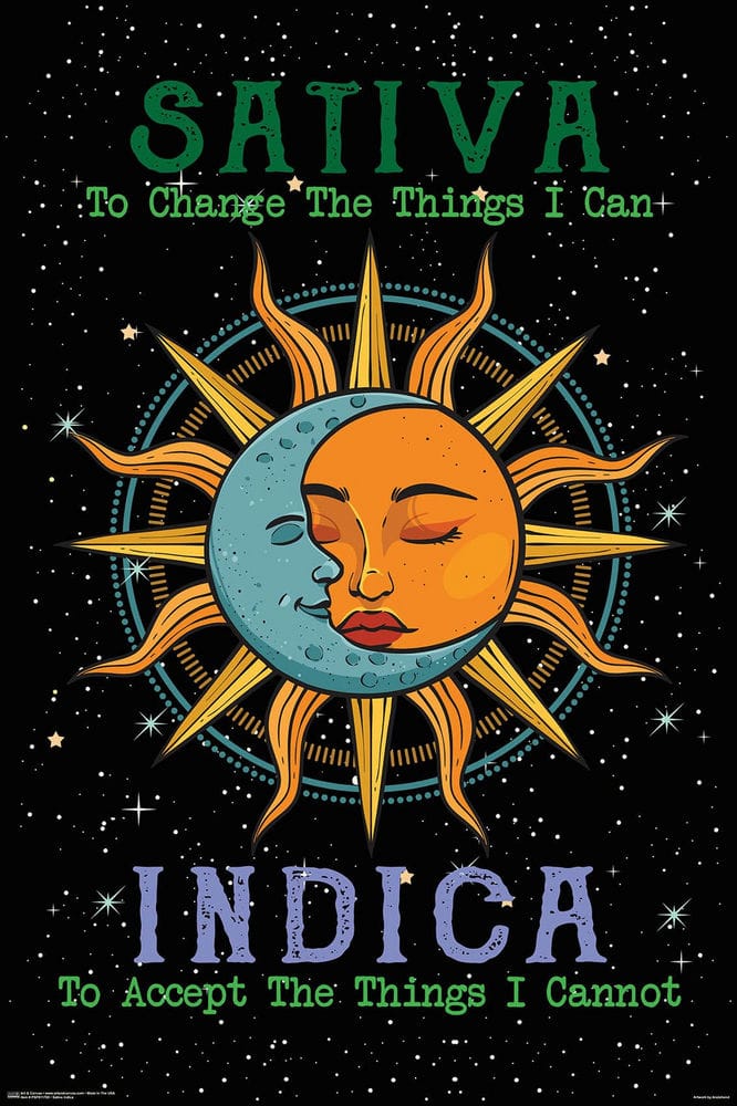 Posters Sativa Indica - Accept the Things - Poster 103578 TrippyStore