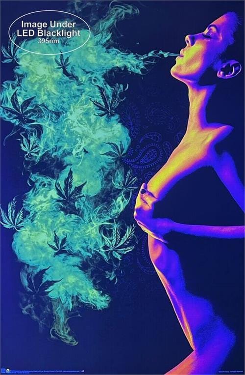 cigarette under a blacklight Silhouetted Person Exhaling Billowing Smoke on Dark Background, People Stock Footage ft. smoke & dark Hand Wash Cleaning Type Joint Non-Flocked Blacklight Poster 24"