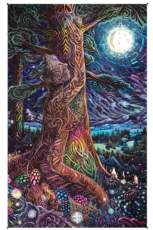 Tapestries 30 x 45" Randal Roberts - Northern Nights - Tapestry 103519 TrippyStore