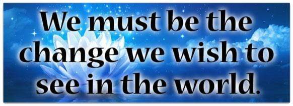 Be the Change - Bumper Sticker 102140