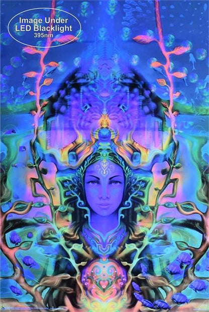 poster Fabian Jimenez - Ocean Goddess - Black Light Poster 103184