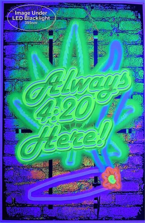 Posters Always 420 Here - Black Light Poster 101872