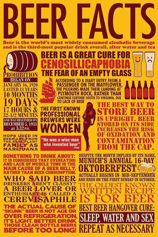 Posters Beer Facts - Poster 102046